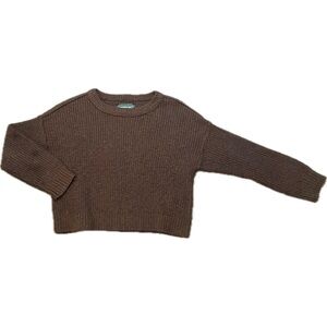 American Eagle Outfitters Brown Crewneck Sweater Relaxed Fit